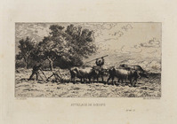 KG 14263
          <br/>
          Het land ploegen
          <br/>
          <em>Jacques, Charles (1813 - 1894)</em>